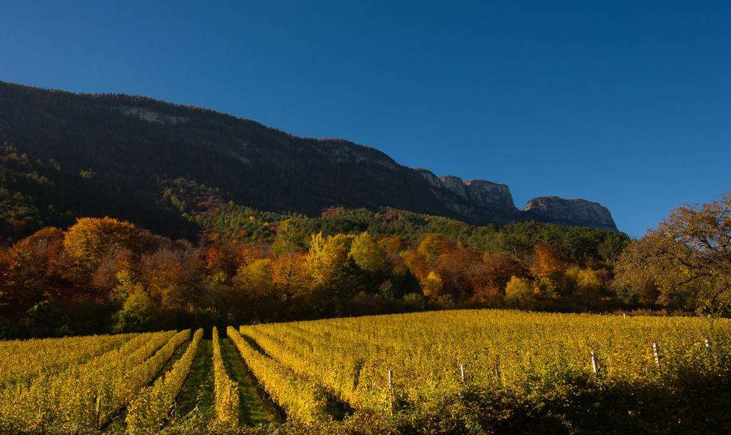 Weingut Wolkanhof Appiano Sulla Strada Del Vino Exterior photo