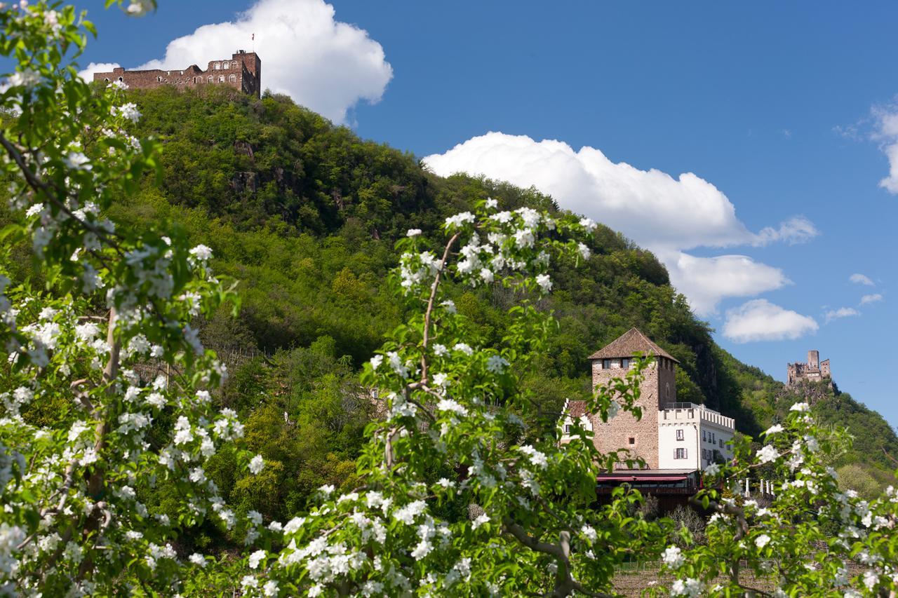 Weingut Wolkanhof Appiano Sulla Strada Del Vino Exterior photo